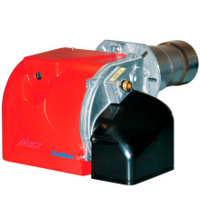 Ecoflam MAX 30 TW(*)