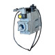Ecoflam MAX GAS 170 P TW