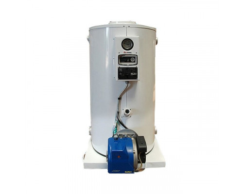 Ecoflam MAX GAS 250 P TC