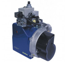 Ecoflam MAX GAS 250 P TC